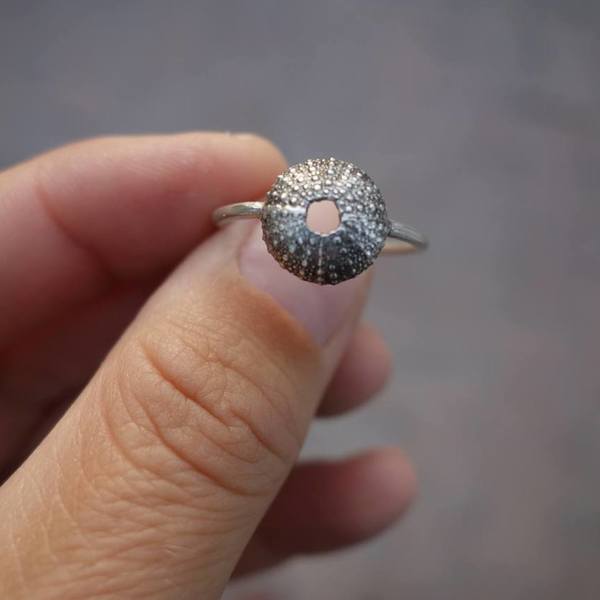 Δαχτυλιδι Αχινός - ασήμι, ασήμι 925, ασήμι 925, δαχτυλίδι, αχινός - 5