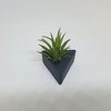Tiny 20180210181725 a93a59ff triangle planter