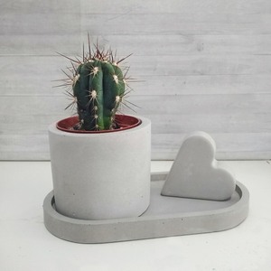 Φυτοδοχείο //enkei - διακοσμητικό, design, ιδιαίτερο, μοντέρνο, δώρο, decoration, decor, τσιμέντο, χειροποίητα, κασπώ, είδη διακόσμησης, είδη δώρου, minimal, γιορτή, gift, κάκτος, γλάστρα, gift idea, σκυρόδεμα, για εκείνη, διακόσμηση κήπου - 5
