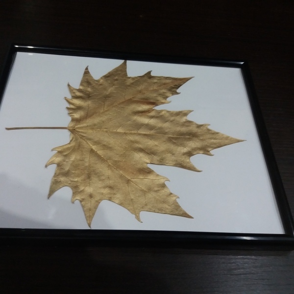 Κορνίζα "Leaf" - διακοσμητικό, πίνακες & κάδρα, χαρτί, διακόσμηση - 4