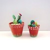 Tiny 20180923133919 61659e3f cactus lover