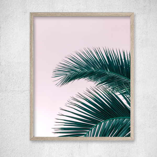 Tropical Pink φωτογραφια 20χ30εκ, Palm Leaf - ροζ, μοντέρνο, δώρο, διακόσμηση, decor, αφίσες, είδη διακόσμησης, minimal