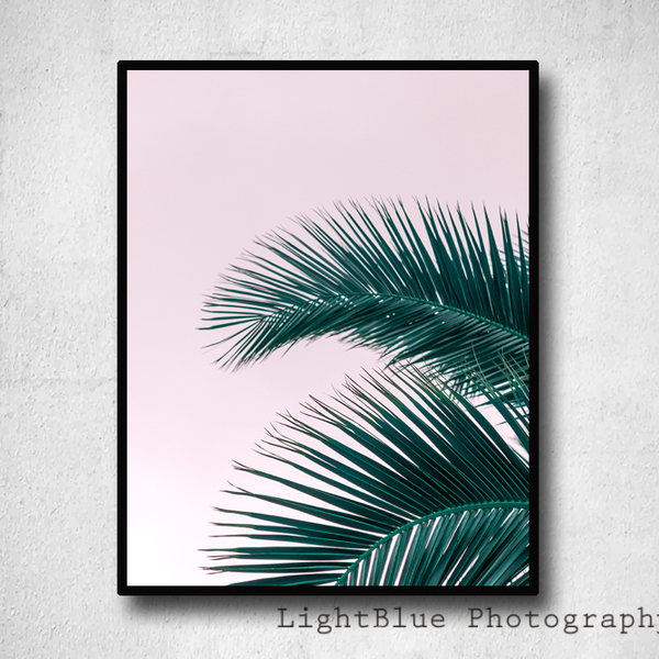 Tropical Pink φωτογραφια 20χ30εκ, Palm Leaf - ροζ, μοντέρνο, δώρο, διακόσμηση, decor, αφίσες, είδη διακόσμησης, minimal - 4