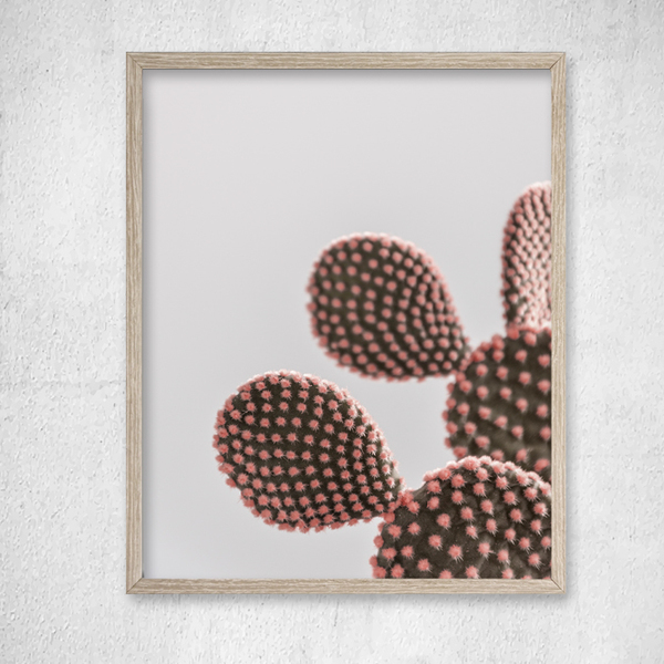 Dusty Pink Cactus Print / φωτογραφια 20χ30εκ - μοντέρνο, διακόσμηση, αφίσες, κάκτος