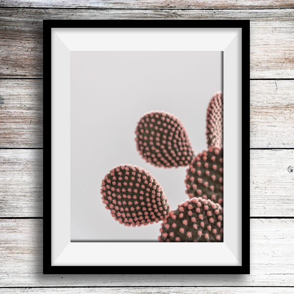 Dusty Pink Cactus Print / φωτογραφια 20χ30εκ - μοντέρνο, διακόσμηση, αφίσες, κάκτος - 2