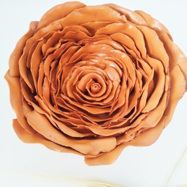 Limited Edition Flower Collection_Table Decoration Rose - βάζα & μπολ, πηλός - 5