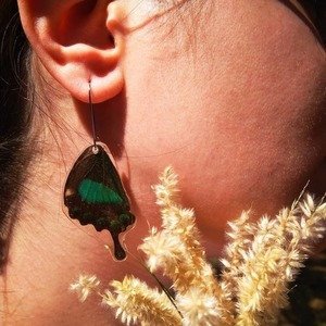 Γυάλινα σκουλαρίκια με αληθινό φτερό πεταλούδας. - ασήμι, γυαλί, πεταλούδα, κρεμαστά, γάντζος - 2