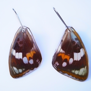 Σκουλαρίκια-αληθινα φτερά πεταλούδας. - γυαλί, πεταλούδα, καθημερινό, κρεμαστά, μεγάλα