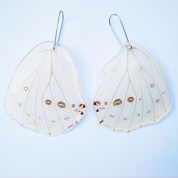 Σκουλαρίκια από φυσικά φτερά πεταλούδας. /Earrings from real butterfly wings. - γυαλί, πεταλούδα, κρεμαστά, μεγάλα