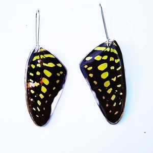 φτερά πεταλούδας/Earrings from real butterfly wings. - γυαλί, πεταλούδα, κρεμαστά, μεγάλα