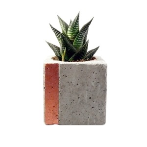 Γλαστράκι - κασπώ //cubo P - διακοσμητικό, design, ιδιαίτερο, mini, δώρο, αγάπη, ακρυλικό, τσιμέντο, κασπώ, δωράκι, είδη διακόσμησης, είδη δώρου, minimal, κάκτος, κύβος, σκυρόδεμα, σκυρόδεμα, διακόσμηση κήπου