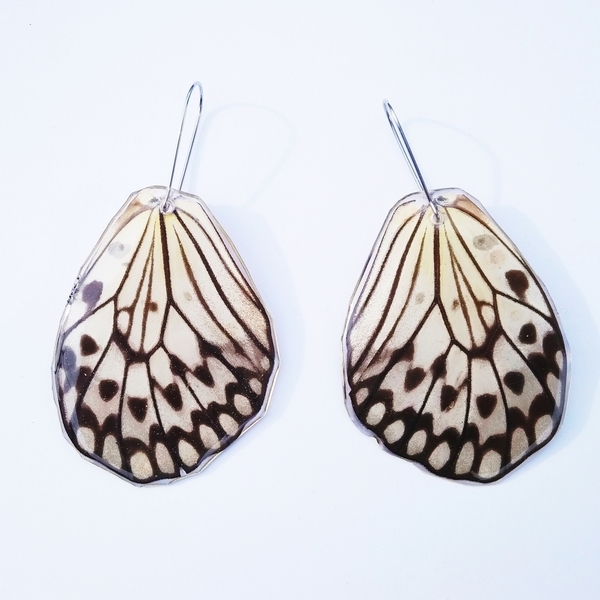 Σκουλαρίκια από φυσικά φτερά πεταλούδας/Idea Leuconoe - Earrings from real butterfly wings. - γυαλί, πεταλούδα, boho, κρεμαστά