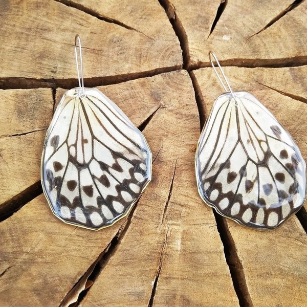 Σκουλαρίκια από φυσικά φτερά πεταλούδας/Idea Leuconoe - Earrings from real butterfly wings. - γυαλί, πεταλούδα, boho, κρεμαστά - 5