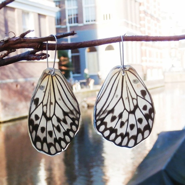 Σκουλαρίκια από φυσικά φτερά πεταλούδας/Idea Leuconoe - Earrings from real butterfly wings. - γυαλί, πεταλούδα, boho, κρεμαστά - 3