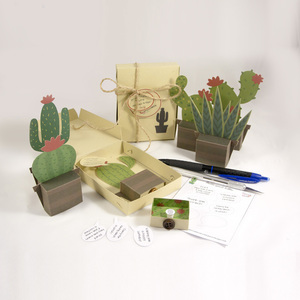 Emotibox 3D ευχητήρια καρτούλα κακτάκια - δώρα για βάπτιση, κάκτος, δώρα γενεθλίων, γενική χρήση, δώρο γέννησης - 4