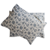 Tiny 20190330202527 11de7efa set maxilaria cheiropoiita