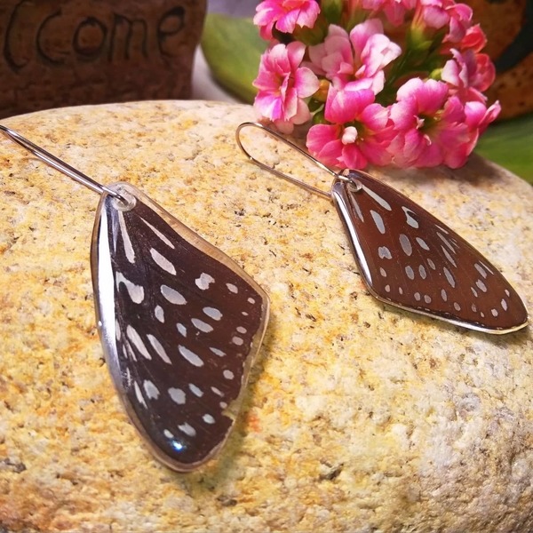 Earrings from real butterfly wings. - κρεμαστά - 2