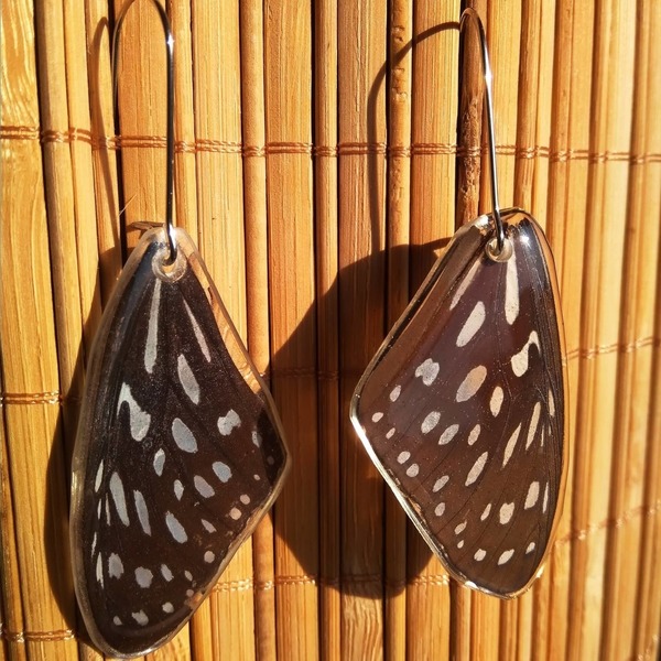 Earrings from real butterfly wings. - κρεμαστά - 3