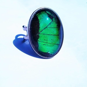 Δαχτυλίδι απο αληθινά φτέρα πέταλουδας/ Ring from real butterfly wings. - ατσάλι, μεγάλα, αυξομειούμενα