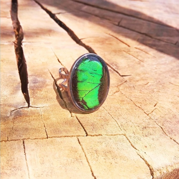 Δαχτυλίδι απο αληθινά φτέρα πέταλουδας/ Ring from real butterfly wings. - ατσάλι, μεγάλα, αυξομειούμενα - 3