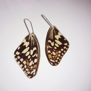 Σκουλαρικια από φυσικά φτερά πεταλούδας/Earrings from real butterfly wings. - boho, κρεμαστά, μεγάλα