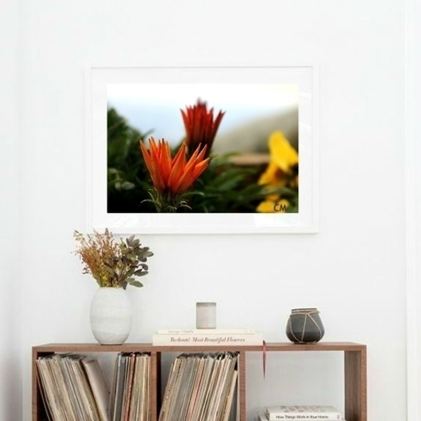 Φωτογραφία Floral διαστάσεις 25Χ40cm matt φινίρισμα - πίνακες & κάδρα, καλλιτεχνική φωτογραφία - 3