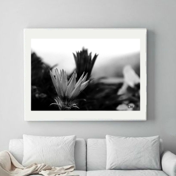 Φωτογραφία Floral διαστάσεις 25Χ40cm matt φινίρισμα - πίνακες & κάδρα, καλλιτεχνική φωτογραφία - 4
