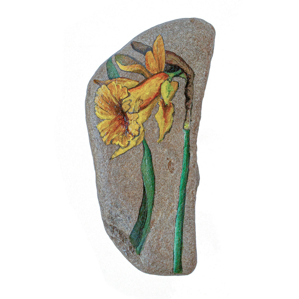 Νάρκισσος - ζωγραφισμένα στο χέρι, πέτρα, διακοσμητικές πέτρες