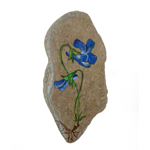 Μενεξές - διακοσμητικές πέτρες, πέτρα, ζωγραφισμένα στο χέρι