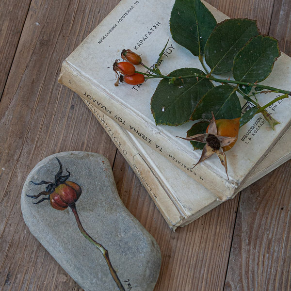 Καρπός τριανταφυλλιάς - ζωγραφισμένα στο χέρι, πέτρα, δώρο, διακόσμηση, διακοσμητικές πέτρες - 3