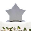 Tiny 20191111183144 78969788 tsimentenio asteri star