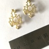 Tiny 20191212121117 9b91376c gothic earrings
