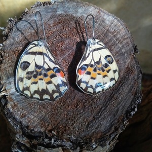 Σκουλαρίκια από αληθινά φτερά πεταλούδας πολύχρωμο - γυαλί, μικρά, υποαλλεργικό, κρεμαστά - 2