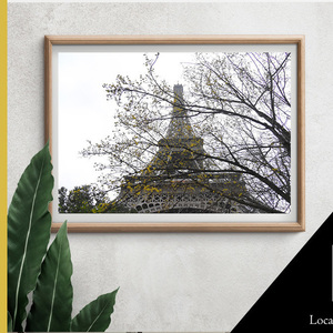 Poster 20*30 Ανθισμένος Πύργος - Παρίσι, Γαλλία | Φωτογραφικό Χαρτί - αφίσες - 2