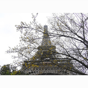 Καμβάς 20*30 | Ανθισμένος Πύργος - Παρίσι, Γαλλία - πίνακες & κάδρα, καμβάς, δέντρα