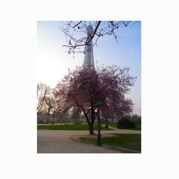 Poster 60*70 Άνοιξη στον Άιφελ - Παρίσι, Γαλλία | Φωτογραφικό Χαρτί - δώρο, διακόσμηση, αφίσες, διακόσμηση σαλονιού