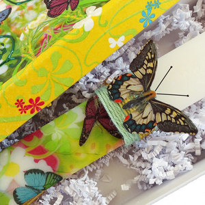 Yellow butterflies - Λαμπάδα με λαμπαδόκουτο - κορίτσι, λαμπάδες, για παιδιά, για ενήλικες, για εφήβους - 4