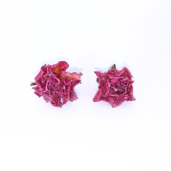 Καρφωτά σκουλαρίκια με αποξηραμένα τριαντάφυλλα. - καρφωτά, μικρά, ατσάλι