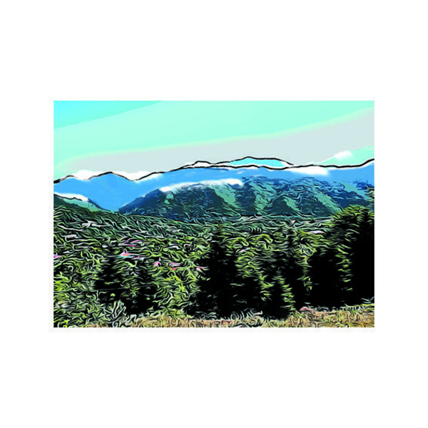 Δάσος, χειμώνας σε βουνό. (50X70cm) - δώρο, αφίσες, πίνακες ζωγραφικής