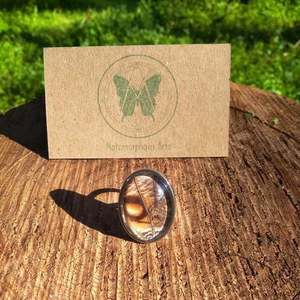 Δαχτυλίδι με αληθινά φτέρα πέταλουδας/Ring with real butterfly wings. - φτερό, ατσάλι, μεγάλα, αυξομειούμενα - 2