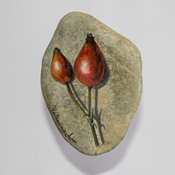 Καρπός άγριας τριανταφυλλιάς - πέτρα, δώρο, διακοσμητικές πέτρες