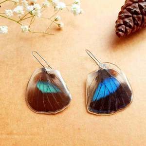 Σκουλαρίκια από αληθινά φτερά πεταλούδας Prepona. - μικρά, κρεμαστά - 2