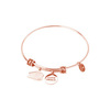 Tiny 20200421104419 76d8304c acropolis rosegold by