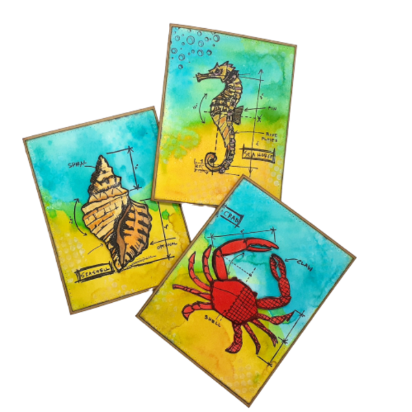 Ευχετήριες κάρτες - Βυθός - καλοκαίρι, κοχύλι, θάλασσα, γενική χρήση