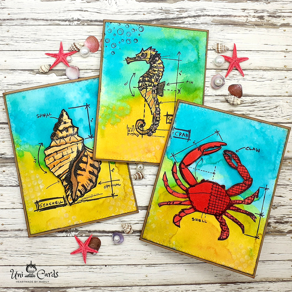 Ευχετήριες κάρτες - Βυθός - καλοκαίρι, κοχύλι, θάλασσα, γενική χρήση - 5