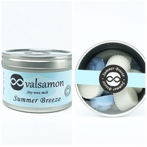 Αρωματικά ταρτάκια χώρου ( soy wax melt ) summer breeze - αρωματικό, σόγια, αρωματικά χώρου