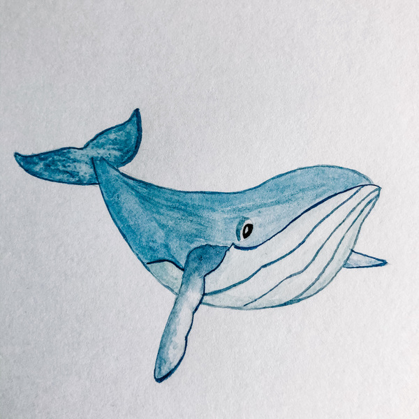 Καδράκι Φάλαινα - πίνακες & κάδρα, αγόρι, παιδικά κάδρα - 3