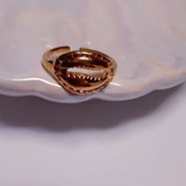 Shell ring - chevalier, επιχρυσωμένα, κοχύλι, αυξομειούμενα, φθηνά