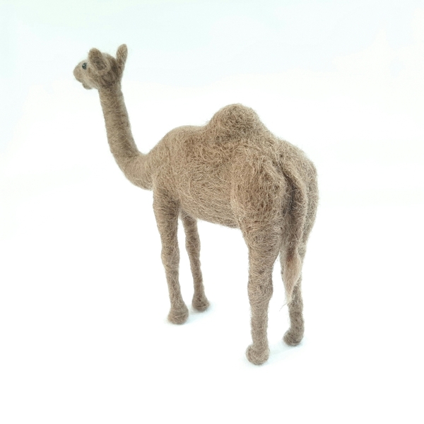 Αράβικη καμήλα - 2