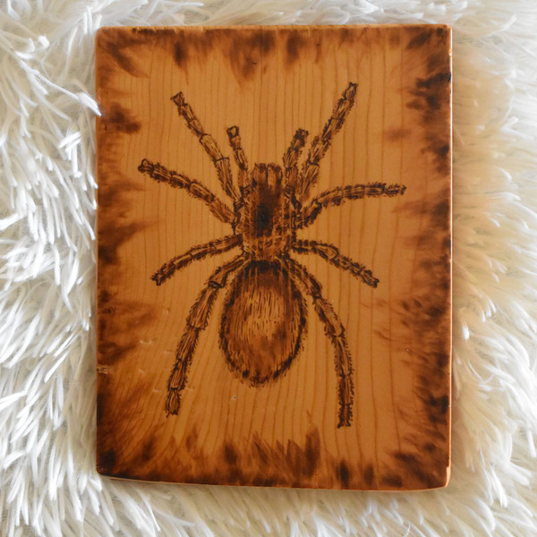 Αράχνη χειροποίητη πυρογραφία σε ξύλινο κάδρο - ξύλο, πίνακες & κάδρα